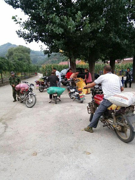 農戶(hù)手中直接收購保證質(zhì)量